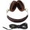 Auriculares Sennheiser HD 599 con cable, diseño abierto, sonido audiophile, color marfil