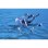 Calendario dell'Avvento Pirati Playmobil 71636 - Barca Fluttuante e Kraken