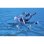 Calendario dell'Avvento Pirati Playmobil 71636 - Barca Fluttuante e Kraken