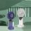 Mini Ventilador de Mano Dam Electronics 2,5W 5 Velocidades Aromaterapia Batería Recargable Pantalla LED