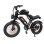 Bicicleta eléctrica JKING Fxh-002 Pro 1000W 48V Dual 20"x4,0"
