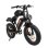 Bicicleta eléctrica JKING Fxh-002 Pro 1000W 48V Dual 20"x4,0"