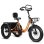 Bicicleta Eléctrica Plegable ESKUTE T302 Pro 250W 48V Naranja