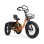 Bicicleta Eléctrica Plegable ESKUTE T302 Pro 250W 48V Naranja