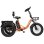 Bicicleta Eléctrica Eskute T302 Pro 250W Plegable Frenos Disco