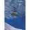 Bâche à Bulles GRE pour Piscine Ovale 7,25 x 3,70 m - Polymère Bleu 180 Microns