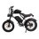 Bicicleta eléctrica Jking Fxh-002 500W 48V 15,6Ah 20"x4,0" Freno Disco Negro