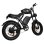Bicicleta eléctrica Jking Fxh-002 500W 48V 15,6Ah 20"x4,0" Freno Disco Negro