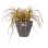 Jardinière Elho Vibia Campana Rond 55 cm Antracite