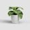 Vaso Artevasi San Remo 42 BR Branco Brilho Interior/Exterior Pack 2