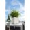 Macetero LECHUZA Cube Cottage 30 Autorriego Granito Gris 30x30x30 cm