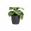 Maceta Artevasi San Remo 30 cm Antracita Brillante 14,5 L