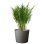 Macier Poétic Element Conique 100 L Gris Antracite Plastique Recyclé