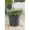 Macier Poétic Element Conique 100 L Gris Antracite Plastique Recyclé
