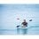Dron HOVERAir Aqua SP08H004 Naranja 4K 100 m impermeable IA