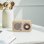 Radio Personnelle Sangean WR-9 Bluetooth 8W Ceniza