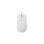 Rato White Shark GRAPHENE-W USB Type-A + PS/2 12400 DPI Branco 6 Botões