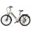 Bicicletta Elettrica Touroll J2 ST 250W 45Nm Batteria 561.6Wh 100km 7 Marche Shimano Sand