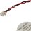 Bateria CMOS Avizar BAT-21070 3V 200mAh para HP Pavilion e Presario