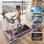 Cinta de correr HomeFitnessCode Walking Pad Rose motor 2,5 HP inclinación 8%