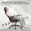 Chaise de Bureau Ergonomique Naspaluro avec Support Lombaire Ajustable