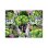 Puzzle Ravensburger Hulk Marvel 100 pecas