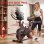 Bicicleta Estática HomeFitnessCode Resistencia Magnética Ajustable LCD