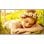 Monitor LG 86UL5Q-M 86" UltraHD 4K 60Hz ADS XL Som Integrado VESA