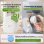 Caja de Arena Inteligente Welltin Auto-limpieza 68L Sensores Infrarrojos y Gravedad