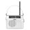 Radio portatile Sangean PR-D6 Analogico FM AM MW Bianco