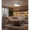 Ventilateur de Plafond avec Lumière Autrucker 36W 6 Vitesses Pales Rétractables Moteur DC Télécommande