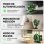 Niveau laser Autrucker 16 lignes 4D Vert autonivelant