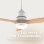 Ventilador de Techo con Luz Evvo Home V540 Wood 40W 132cm 6 Velocidades Motor DC Mando Temporizador Invierno