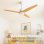 Ventilador de Techo con Luz Evvo Home V540 Wood 40W 132cm 6 Velocidades Motor DC Mando Temporizador Invierno