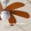 Ventilador de Techo con Luz Evvo Home V315 Wood 56W 92cm 3 Velocidades Motor Cobre Modo Invierno