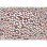 Puzzle Clementoni 37119 Compact Impossible Hello Kitty 1000 piezas multicolor
