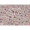 Puzzle Clementoni 37119 Compact Impossible Hello Kitty 1000 piezas multicolor