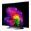 TV LG OLED evo AI OLED48G66LS 48" 4K UltraHD 120Hz Smart TV WebOS HDR10 Dolby Vision Gaming