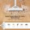 Aspiradora con Bolsa Deerma DX700 600W 25kPa 0,8L Accesorios Blanco