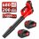 Soplador de Hojas Inalámbrico Blossom 21V 800W 6 Velocidades con 2 Baterías