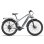 Bicicleta Eletrica Joobike Joo2 Adultos 1000 W Pneus 29