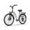Urlife E26 E-Bike Fuer Erwachsene 250 W 48V 10,4Ah 26 Zoll