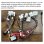 Autoradio 2+64gb Carplay Android Auto GPS BT Opel Vivaro Renault Trafic
