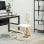 Chaise ergonomique genoux dossier Welltin 921-788V00CW Creme Bois