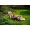 Chaise longue Fieldmann Adria FDZN 4009-T pieghevole Acacia