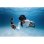 Protezione trasparente DJI Osmo Action 6 per immersioni
