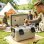 Box Frigo Portatile Aosom 42,6 L con maniglia