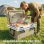 Box Frigo Portatile Aosom 42,6 L con maniglia
