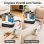 Aspirador de Estofos Teendow 450W 13000PA Duplo Depósito 1000ml+550ml