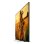 TV Sony QD-Mini LED K-98XR5 98" 4K UltraHD 120Hz Smart TV Android TV Dolby Vision Alexa